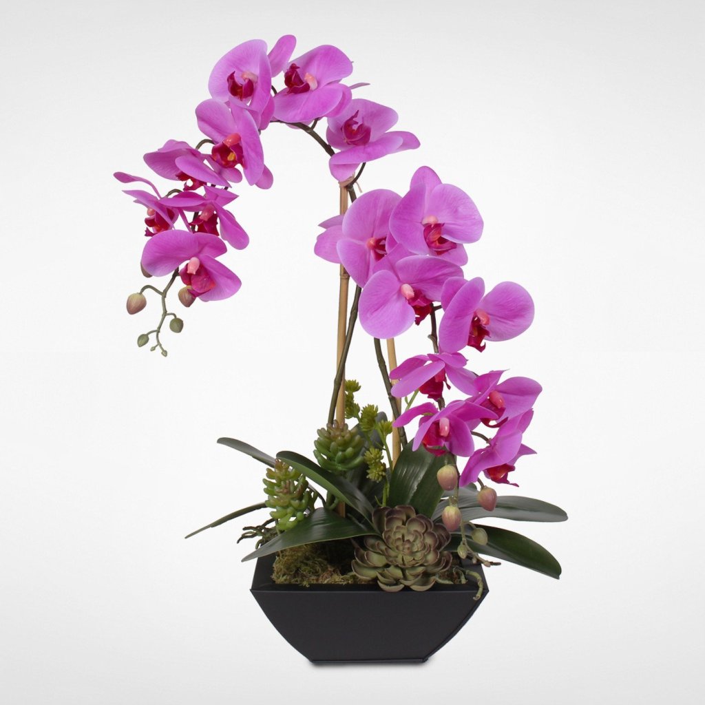 Полив орхидей